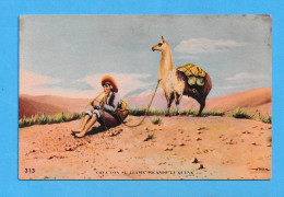 929 ARGENTINA MOTIVOS NORTEÑOS COYA TOCANDO LA QUENA CON SU LLAMA RARE POSTCARD - Argentina