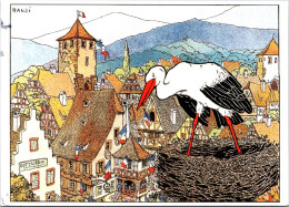 28-5-2024 (6 Z 21) France (posted To Australia In 2024) Cicogne En Alsace / Alscae Stork - Oiseaux