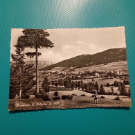 Cartolina Panorama Di Folgaria M. 1168. Viaggiata - Trento