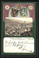 Lithographie Bruck A. D. Mur, Ausblick Vom Schlossberg, Wappen  - Other & Unclassified