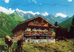 73979186 Schwand_Oberstdorf Berggaststaette Hochleite Almvieh Alpenpanorama - Oberstdorf