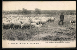 CPA Authie, Baie De L`Authie, Les Près Salès  - Andere & Zonder Classificatie