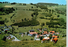 73907821 Wieden Schwarzwald Panorama - Autres & Non Classés