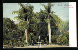 Postal La Orotava / Tenerife, Jardin Botanico  - Tenerife