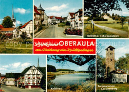 73833881 Oberaula Ortsansichten Schloss Mit Schwanenteich Knuellsee Borgmannturm - Andere & Zonder Classificatie