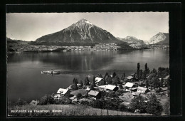 AK Merligen, Ortsansicht Mit Thunersee Und Niesen  - Other & Unclassified