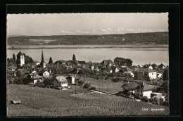 AK Neuveville, Ortsansicht, Seepartie Aus Der Vogelschau  - Autres & Non Classés