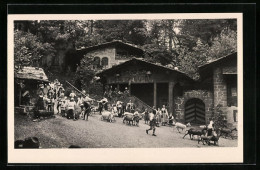 AK Interlaken, Tell-Freilichtspiele, Alpabzug  - Interlaken