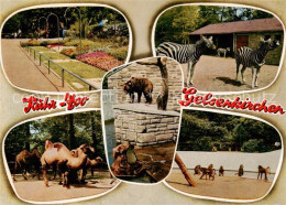 73833715 Gelsenkirchen Ruhr Zoo Zebras Baerengehege Kamele Affen Gelsenkirchen - Gelsenkirchen