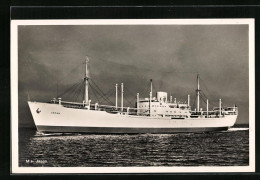 AK Handelsschiff MS Japan Der Swedish East Asia Co. Auf Hoher See  - Koopvaardij