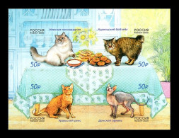 Russia 2020 Mih. 2834/37 Fauna. Cats MNH ** - Unused Stamps