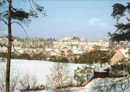 72530727 Neuhaus Pegnitz Teilansicht Im Winterkleid Neuhaus - Autres & Non Classés