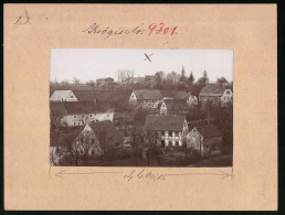 Fotografie Brück & Sohn Meissen, Ansicht Krögis, Blick Auf Den Ort Mit Wohnhäusern  - Places