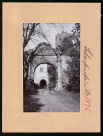 Fotografie Brück & Sohn Meissen, Ansicht Scharfenstein I. Sa., Blick Auf Den Eingang Zum Schloss Scharfenstein  - Plaatsen