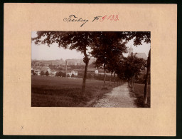 Fotografie Brück & Sohn Meissen, Ansicht Freiberg I. Sa., Moltke Allee Mit Blick Auf Den Güterbahnhof Und Papiermüh  - Lieux