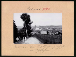 Fotografie Brück & Sohn Meissen, Ansicht Oederan, Blick Auf Die Stadt Von Der Gahlenzer Höhe  - Places