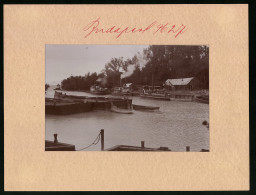 Fotografie Brück & Sohn Meissen, Ansicht Siofok, Ausflugsdampfer Kelen Und Weitere An Der Anlegestelle Am Plattensee  - Orte