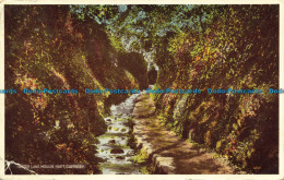 R647530 Guernsey. Water Lane. Moulin Huet. Valentine. Carbo Colour. 1948 - World