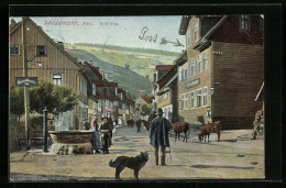 AK Wildemann /Harz, Strasse Bohlweg Mit Brunnen  - Wildemann