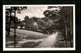 AK Pirmasens, Beckenhof Mit Waldweg  - Pirmasens