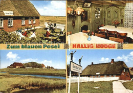 72420630 Backenswarft Gaststaette Zum Blauen Pesel Hallig Backenswarft - Other & Unclassified