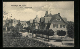 AK Oppenheim A. Rh., Blick In Die Ernst-Ludwigstrasse  - Sonstige & Ohne Zuordnung