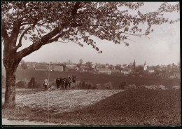 Fotografie Brück & Sohn Meissen, Ansicht Heynitz, Bauer Beim Pflügen Der Felder Mit Blick Zum Ort  - Places