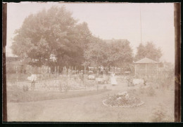 Fotografie Brück & Sohn Meissen, Ansicht Nünchritz, Partie Im Gartenrestaurant  - Plaatsen