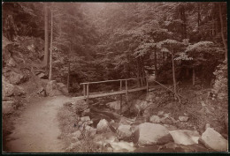 Fotografie Brück & Sohn Meissen, Ansicht Rochsburg, Partie Am Eingang Zum Brauseloch  - Plaatsen