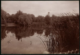 Fotografie Brück & Sohn Meissen, Ansicht Burgstädt I. Sa., Blicka Uf Den Teich Im Stadtpark  - Plaatsen