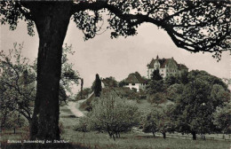 13979237 Stettfurt_TG Schloss Sonnenberg - Other & Unclassified