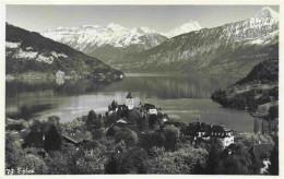 13979218 SPIEZ_Thunersee_BE Panorama Feldpost - Autres & Non Classés