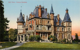 13960380 THUN_BE Schloss Schadau - Autres & Non Classés