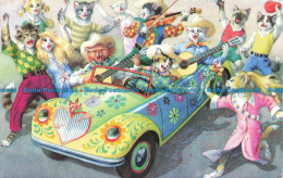 R647270 Cats Driving With Car And Sing. Alfred Mainzer - Monde