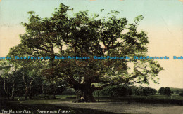 R647615 Sherwood Forest. The Major Oak. Valentine Series - Monde