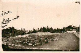 13960213 St-Cergue_Saint-Cergue_Nyon_VD Parc De Renards Argentés - Autres & Non Classés