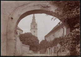 Fotografie Brück & Sohn Meissen, Ansicht Leitmeritz, Blick Durchs Portal Auf Den Dom  - Places