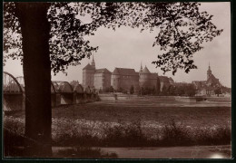 Fotografie Brück & Sohn Meissen, Ansicht Torgau / Elbe, Blick Nach Dem Schloss Hartenfels Mit Elbbrücke  - Lieux