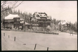 Fotografie Brück & Sohn Meissen, Ansicht Oberbärenburg / Erzg., Blick Auf Das Cafe Hermannshöhe Im Winter  - Lieux