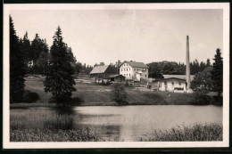 Fotografie Brück & Sohn Meissen, Ansicht Reitzenhain / Erzg., Blick Auf Die Mühle Neue Welt  - Orte