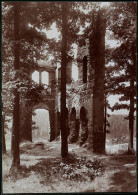 Fotografie Brück & Sohn Meissen, Ansicht Mittweida I. Sa., Partie An Der Ruine Der Zschopauburg  - Lieux