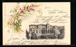 Lithographie Baden, Kurhaus Und Blumen-Dekor  - Baden