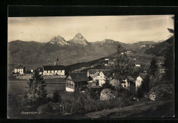 AK Seelisberg, Gesamtansicht Mit Alpenpanorama  - Seelisberg