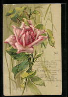 Präge-Künstler-AK Clara Von Sivers: Rosafarbene Rose  - Sonstige & Ohne Zuordnung