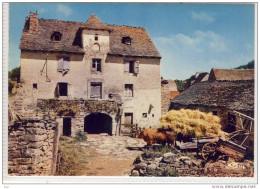 Beaux Sites De La LOZÈRE, Une Ferme Lozerienne,  Bauernhof - Midi-Pyrénées