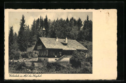 AK Alpl Bei Krieglach, Waldschule Im Bergland  - Sonstige & Ohne Zuordnung