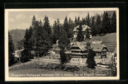 AK Alpl Bei Krieglach, Bruggraber`s Gathaus Zur Waldheimat  - Sonstige & Ohne Zuordnung