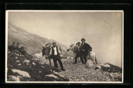 AK Bergsteiger Mit Packtieren  - Alpinismus, Bergsteigen