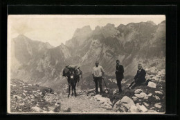 AK Bergsteiger Mit Packtieren Vor Panorama  - Alpinismo