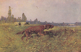 ANIMAUX LES CHIENS DE CHASSE - Honden